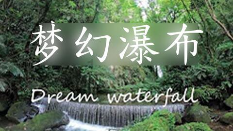 合金装备：幸存