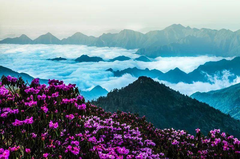 自从知道大米可以这样吃，我家大米就蹭蹭的少，简单又美味，解馋游戏画面